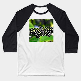 Green and Yellow Spotted Butterfly Baseball T-Shirt